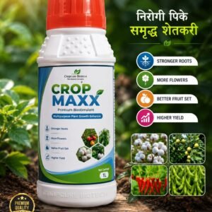 क्रॉप मॅक्स