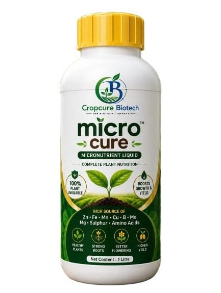 Micro cure