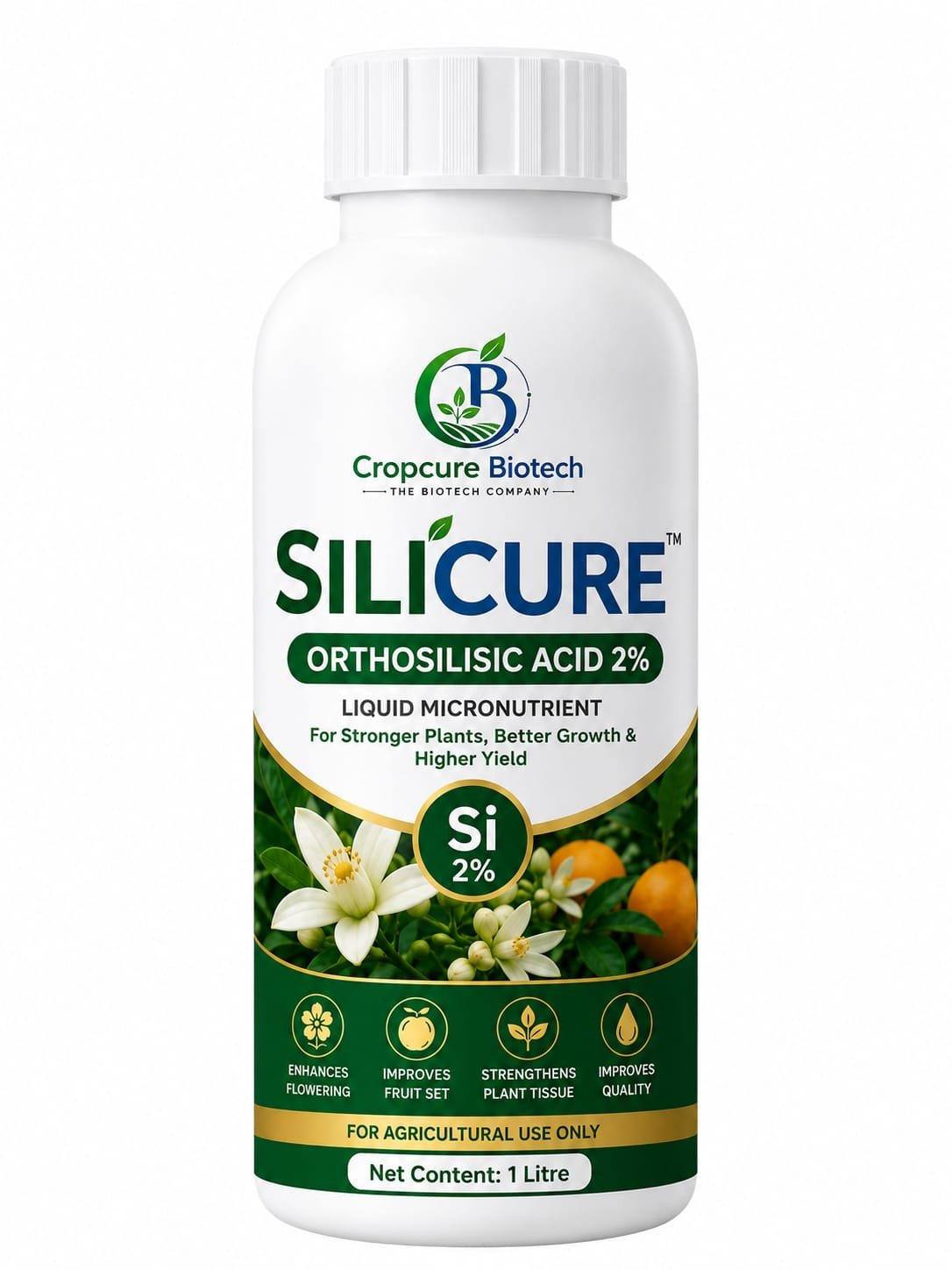 Sili cure
